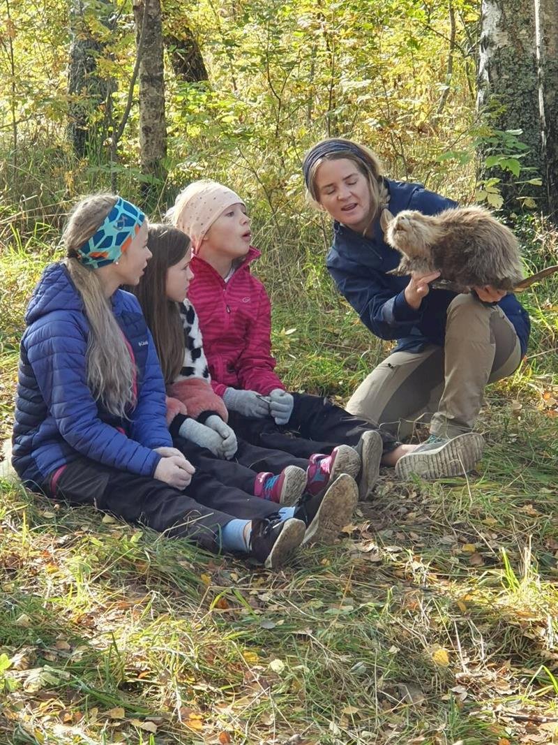 Dekorelement som erstatning for et bilde