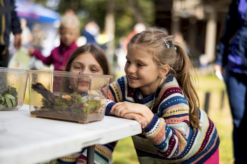 Sommerferieaktiviteter på besøkssenteret, 2025-07-01T11:00:00+02:00, from 11.00 to 13.00