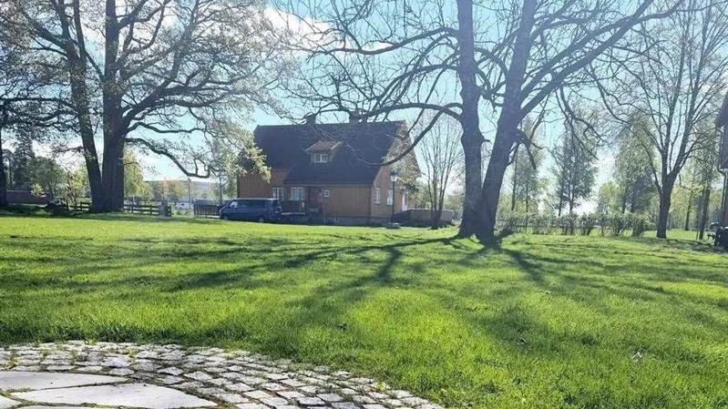 Dekorelement som erstatning for et bilde