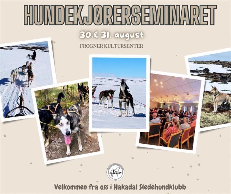 Dekorelement som erstatning for et bilde