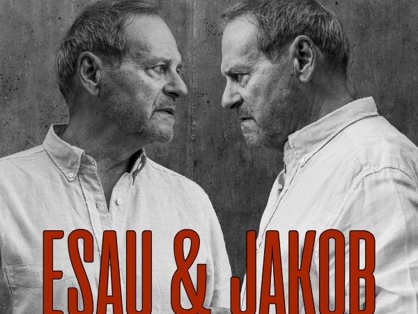 Dekorelement som erstatning for et bilde