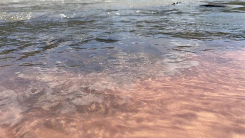 Robel Temesgen: Eye of a Water – ዐይነ-ውሃ, 2025-11-12T11:00:00+01:00, from 11.00 to 17.00