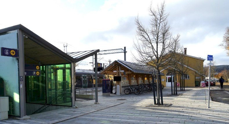 Dekorelement som erstatning for et bilde