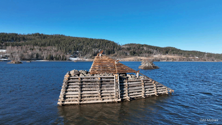 Bilde: Riekar ved Bingen lensen. Foto Odd Mobæk